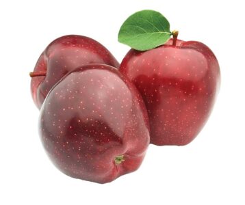 Preserving Heirloom Apples With Seed Savers Exchange Image